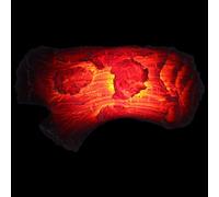 CLISPEED Realistic Faux Charcoal Flame Lamp with No Smoke and Lasting Warmth Effect, Resin Material Battery Powered Tabletop Fire Lamp for Home Decoration and Work Desks, Black, 2 X Aaa