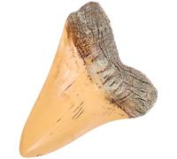 CLISPEED Retro Resin Figurine for Collection with Realistic Design and Compact Size, Unique Prehistoric Home Decoration Accent for Living Room Or Study