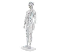 CLISPEED Traditional Chinese Medicine Meridian Model Pressure Point Massage Tool Massage Display Model White