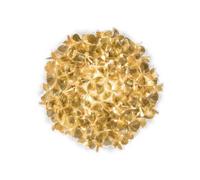 Clizia Mama Non Mama Wall/ Ceiling Light Large Gold