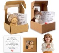 CLKDPNO 2 PCS Mini Worry Bear in a Box,Mini Bear Hug with Inspirational Cards Plush Teddy Bear Set，Positive Emotional Support Gifts for Families Friends Desk Decoration