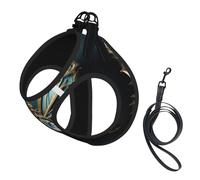 Clock Butterfly Print Harness Leash Set For Cat Dog, Reflective Adjustable Escape-Proof Vest Lead With Soft Breathable Mesh, For Small Pets And Kitten Puppy