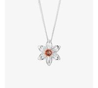 Clogau Daffodil Silver 9ct Rose Gold Flower Necklace 3SDP3