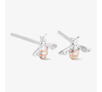 Clogau Natures Wonder Honey Bee Earrings 3SHNBE