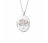 Clogau Tree of Life Oval Locket Necklace 3SNTLL