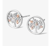 Clogau Tree of Life Stud Earrings 3SNTLCSE