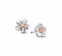 Clogau Women's Nature's Wonder Sterling Silver Forget-Me-Not Stud Earrings in Metallics Clogau Metallics One Size