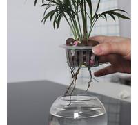 Cloning Basket Designed for Soilless Culture Applications Including DWC NFT and Ebb-and-Flow Systems with Stable Pipe Integration (A0 10pcs)