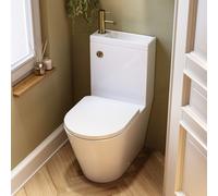 Close Coupled Closed Back Toilet with Sink on Top & Brass Fittings - Legend