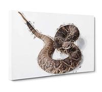 Close to a Rattle Snake in Abstract Canvas Print for Living Room Bedroom Home Office Décor, Wall Art Picture Ready to Hang, 30 x 20 Inch (76 x 50 cm)