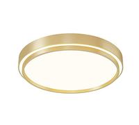 Close To Ceiling Lights, Individual Creative LED Ceiling Light Promise Variable Light Ceiling Lamp Fixture Energy Efficient Flush Mount Ceiling Lighting Minimalist Flat Light for Living