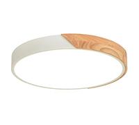 Close To Ceiling Lights, Minimalist Flush Mount LED Ceiling Light Metal Shade Ceiling Lamp Stepless Dimming Ceiling Lighting Fixture Energy Saving Ultra-Thin Flat Light for Tea House