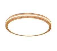 Close To Ceiling Lights, Promise Dimming LED Ceiling Lamp Flush Mount Ceiling Light Fixture Chinese Side Emitting Ceiling Lighting 36W Energy Saving Flat Light for Living Rooms