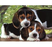 Close Together