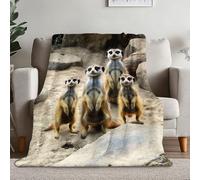 Close-Up Animal Meerkat Rocks Printed Flannel Blankets Throw, Colorful Cosy Soft Throw Blanket Hug Blanket Home Decor For Bed Sofa Couch Car & Travel 130×150 cm