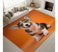 Close-Up Corgi Rugs Living Room 60 cm x 120 cm, Machine Washable Non-Slip Rug Happy Animals Low Pile Rugs Anti Slip Fluffy Carpet for Living Room, Bedroom (Orange)