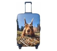 Close-Up Curious Squirrel Travel Luggage Covers - Elasticity Suitcase Covers Protector for Luggage 18-32 Inch