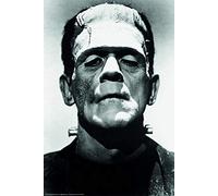 Close Up Frankenstein Poster Boris Karloff (61cm x 91,5cm) + a Bora Bora poster!