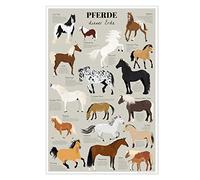 Close Up Horses This Earth Educational Poster - Most Famous - 61 x 91.5 cm