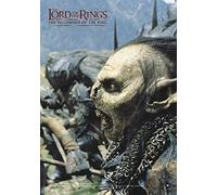 Close Up Lord of Rings Poster Orc (68,5cm x 98cm)