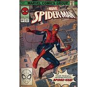 Close Up Marvel Poster Spider-Man Comic Front (61cm x 91,5cm)