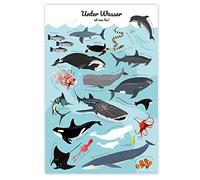 Close Up Meerestiere Poster Unter Wasser ist was los! (61cm x 91,5cm)
