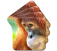 Close Up of A Orang-utan Coaster/Pack of Coasters