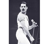 Close Up Queen Poster Freddie Mercury (59,5cm x 84cm)