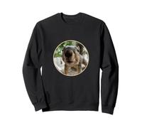 Close Up Squirrel Picture Cute and Curious Sweatshirt