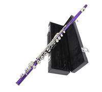 Closed Hole C Flute 16 Keys Flutes Professional Horizontal with Bag Cleaning Cloth Stick Woodwind Instrument Professional Horizontal with Bag Cleaning Cloth Stick