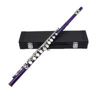Closed Hole C Flute 16 Keys Flutes Professional Horizontal with Bag Cleaning Cloth Stick Woodwind Instrument C Tone Closed Hole