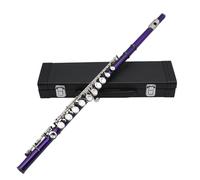 Closed Hole C Key Flute - 16 Key Professional Woodwind Flute with Leather Case for Concert Performance