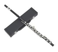 Closed Hole Flute with E Key, Woodwind Instrument C Tone Nickel Silver Key Cupronickel Tube with Music Case