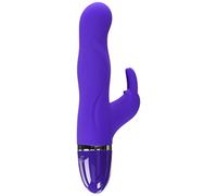 Closet Collection Purple The Vera Smart Mini Rabbit Vibrator