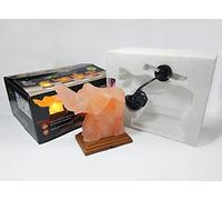 Clossy London Hand Crafted Elephant Shaped 100% Natural Authentic Himalayan Salt Therapeutic Healing Reiki Ionizing Crystal Rock Salt Electric Mood Light Night Lamp Orange red Shade (Dimmer Cable)