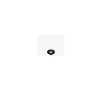 Closure ring Eheim 1060/1260/1262