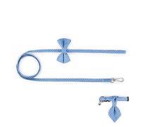 Cloth Art Cat Dog Pet Collar with Matching Leash Lovely Hauling Cable Collar Leads Collars Traction Belt Suit