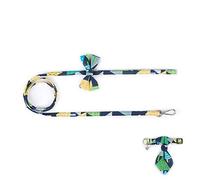 Cloth Art Cat Dog Pet Collar with Matching Leash Lovely Hauling Cable Collar Leads Collars Traction Belt Suit
