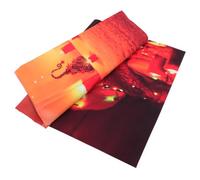 Cloth Christmas Pictorial 90x150cm Photo Backdrop