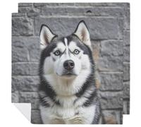 Cloth Napkins Durable Dinner Napkin Soft Absorbent Table Napkin Set of 2 PCS Husky Dog Kitchen Placemats Reusable Washable Napkins for Parties Restaurant Wedding Hotel