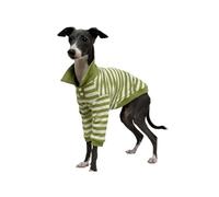Clothes Italian Greyhound Polo Shirt Spring/Autumn/Winter Green White Striped Whippet Dog Clothes 2 Legs Long Sleeves Bedlington Terrier Pajamas boy girl(4)