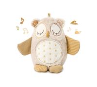 Cloud B Nighty Night Owl Smart Sensor