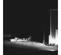 Cloud Nothings Last Building Burning (Vinyl) 12" Album