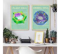CloudShang Animal Plant Cell Biology Poster Prints Science Educational Wall Art Research room Painting Modern Laboratory Office Decor Picture I27060
