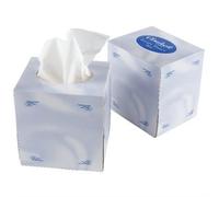 Cloudsoft Cube of 2ply Facial Tissues - 24 Packs of 70 Tissues