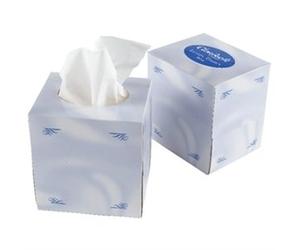 Cloudsoft Cube of 2ply Facial Tissues - 24 Packs of 70 Tissues