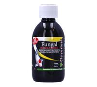 Cloverleaf Fungal Water Answer Pond Fish Treatment for Koi & Ornamental Fish, Controls Fungal Infections, Freshwater Pond Care Solution (250ml)