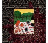 Clovis Ochin & Camoflauge Monk - Sans Souffrance (R)ajoutee [VINYL]