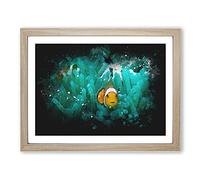 Clownfish & Sea Anemone Abstract Paint Splash Modern Art Framed Wall Art Print, Ready to Hang Picture for Living Room Bedroom Home Office Décor, Oak A4 (34 x 25 cm)