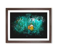 Clownfish & Sea Anemone Abstract Paint Splash Modern Art Framed Wall Art Print, Ready to Hang Picture for Living Room Bedroom Home Office Décor, Walnut A3 (46 x 34 cm)